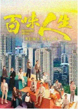 长剧集雾港档案封面